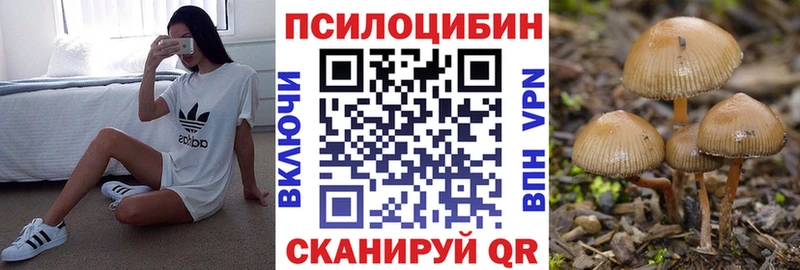 Псилоцибиновые грибы Psilocybine cubensis  Кола 